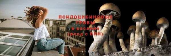 амф Заволжье