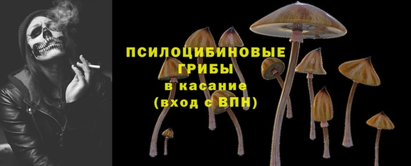 гашиш Заводоуковск