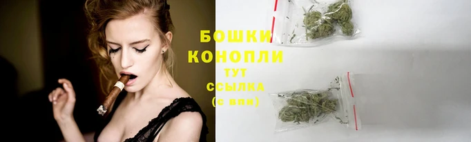 гашиш Заводоуковск